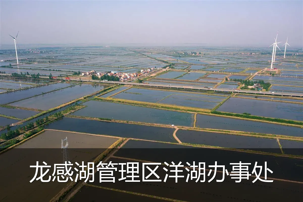 龙感湖管理区洋湖办事处